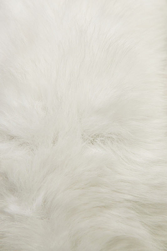 Winterjacke mit Gürtel und Kunstfell Weiß