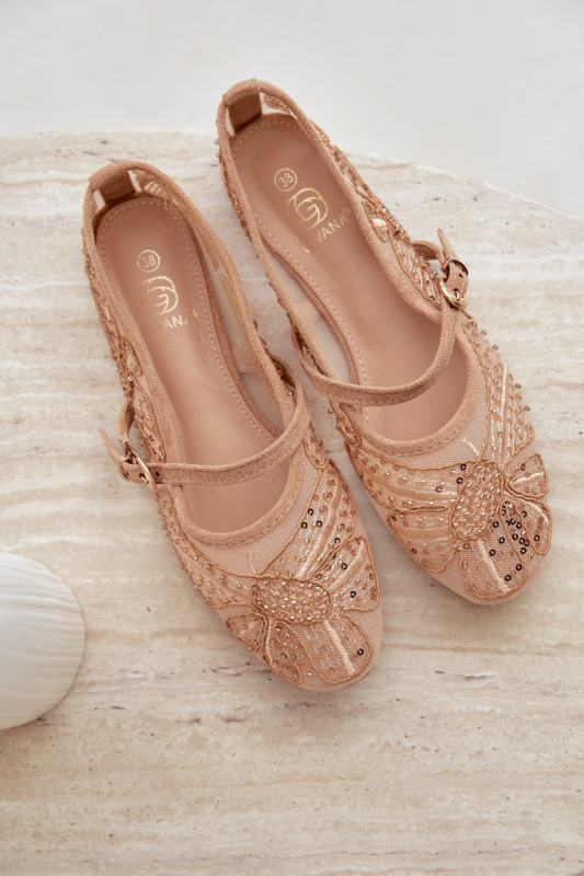 Netz-Ballerina mit Stickerei und Pailletten beige
