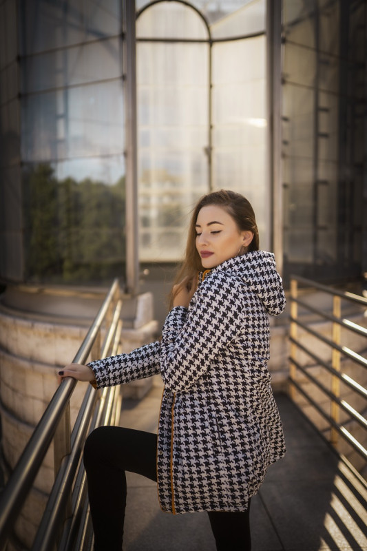 Jacke mit Kapuze Rot/Hahnentrittmuster