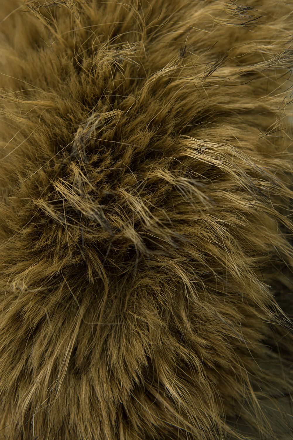 Winterjacke mit Gürtel Khaki