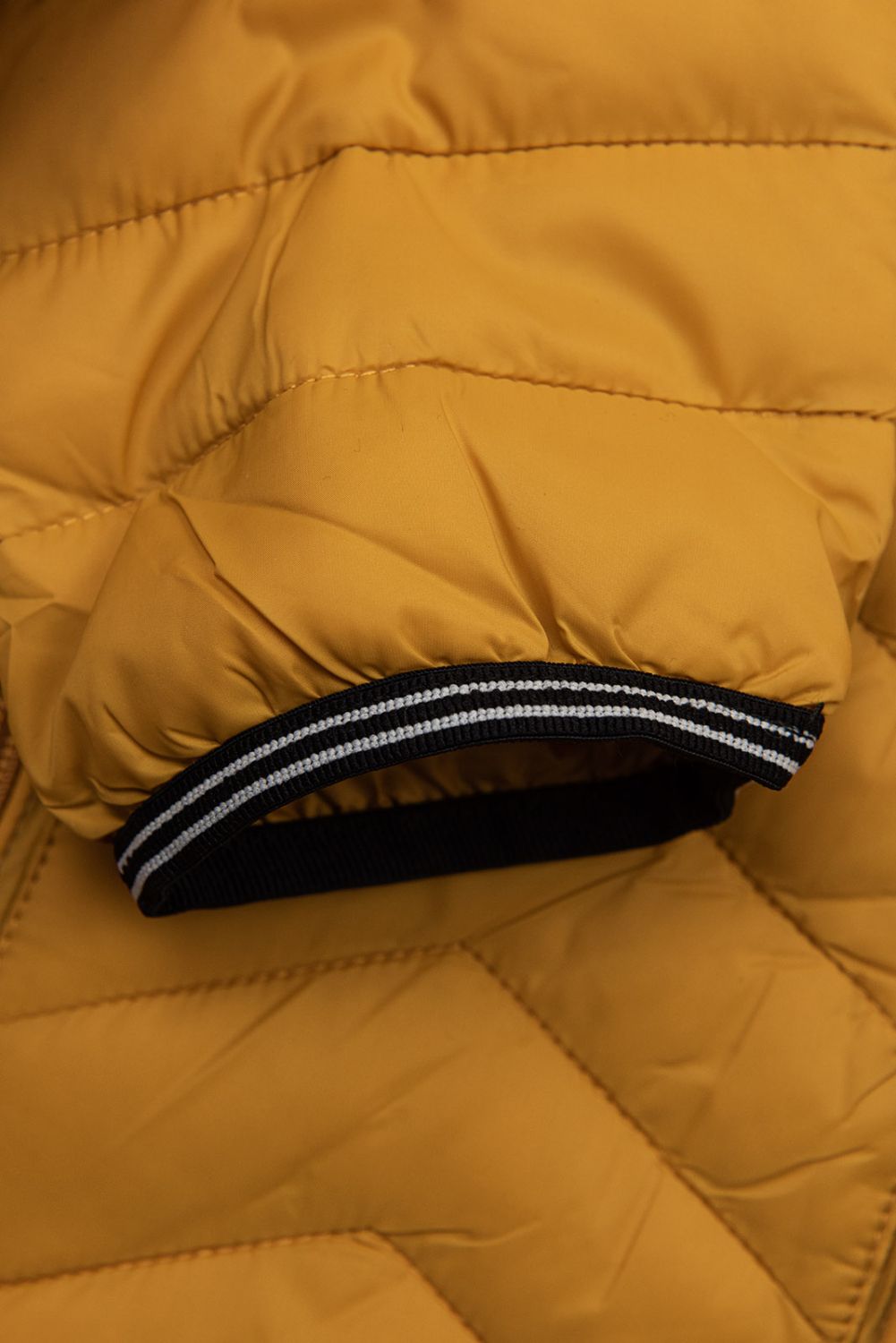 Leichte Übergangsjacke Mustardgelb