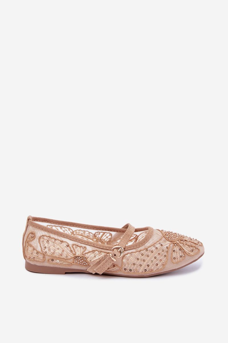 Netz-Ballerina mit Stickerei und Pailletten beige