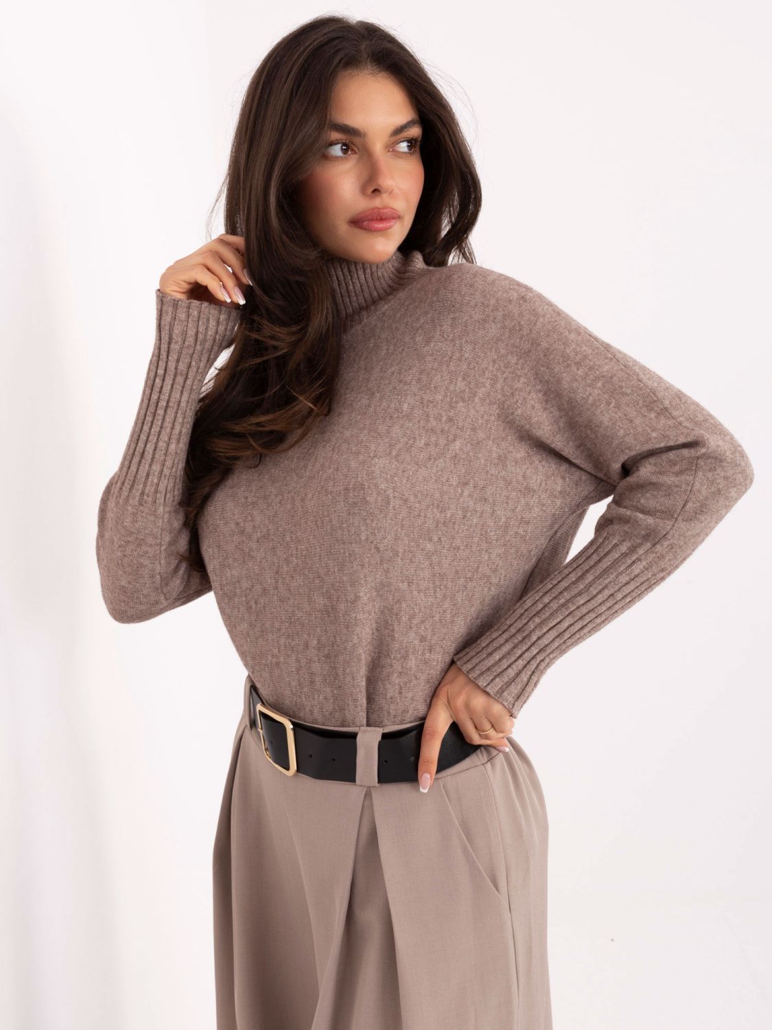 Beiger Rollkragenpullover mit glattem Muster