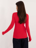 Stylischer roter Pullover