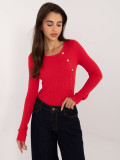 Stylischer roter Pullover