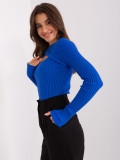 Kobaltfarbener klassischer Pullover mit langen Ärmeln