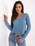Eleganter blauer Pullover mit V-Ausschnitt