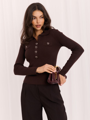 Eleganter brauner Polo-Pullover mit Kragen